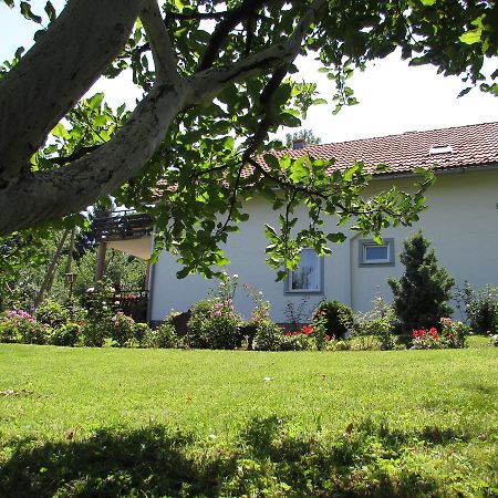 Apartment Spehar Seliste Dreznicko Εξωτερικό φωτογραφία