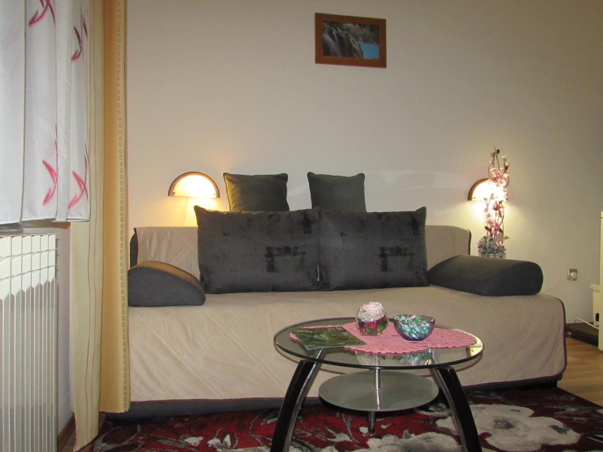 Apartment Spehar Seliste Dreznicko Εξωτερικό φωτογραφία