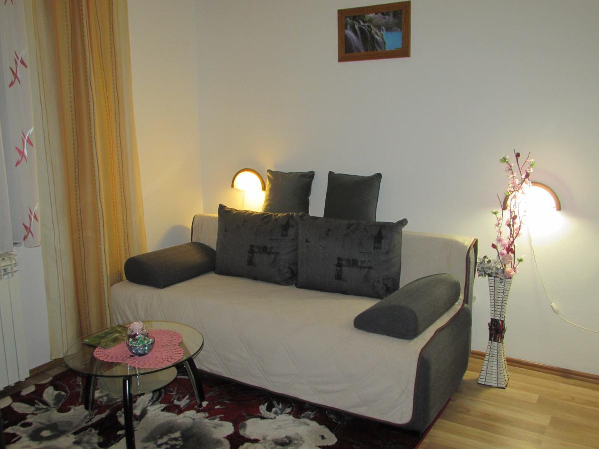 Apartment Spehar Seliste Dreznicko Εξωτερικό φωτογραφία