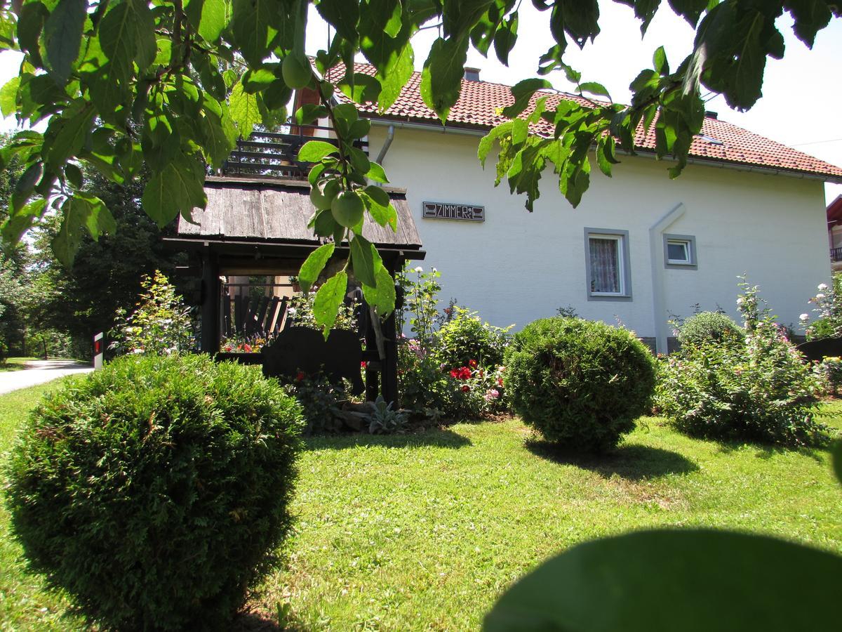Apartment Spehar Seliste Dreznicko Εξωτερικό φωτογραφία