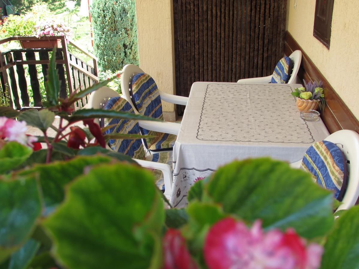 Apartment Spehar Seliste Dreznicko Εξωτερικό φωτογραφία